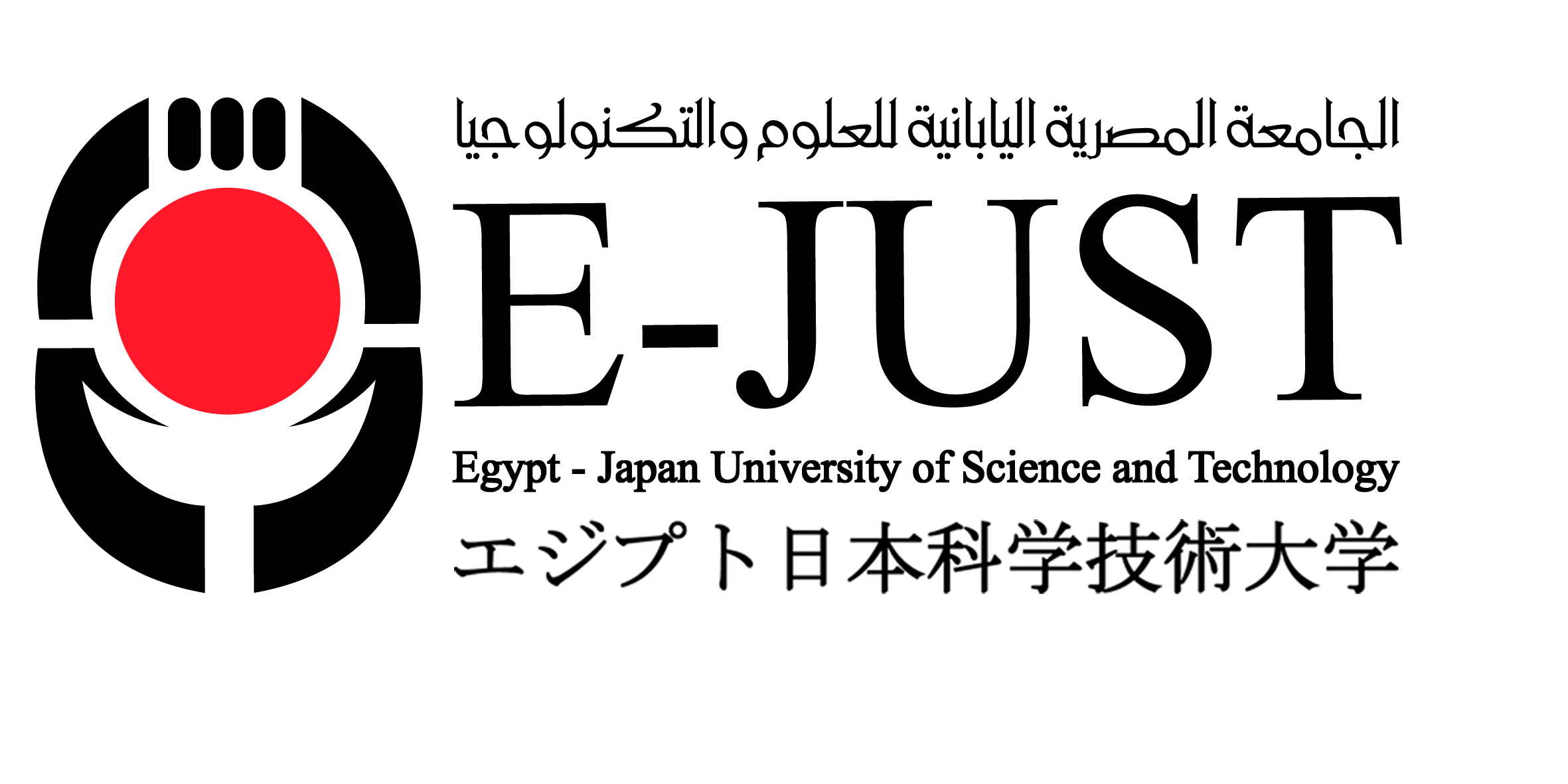Partner 6